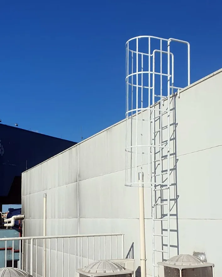 Escada marinheiro com gaiola de proteção em telhado industrial